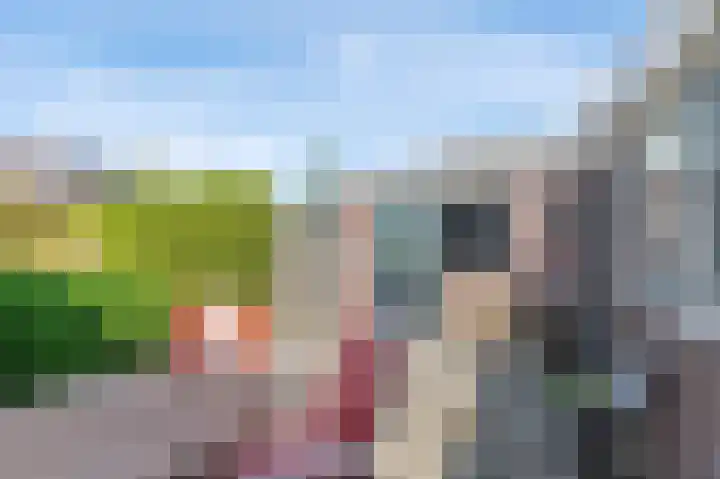 Blaauwhoflaan 39 Joure thumbnail 33