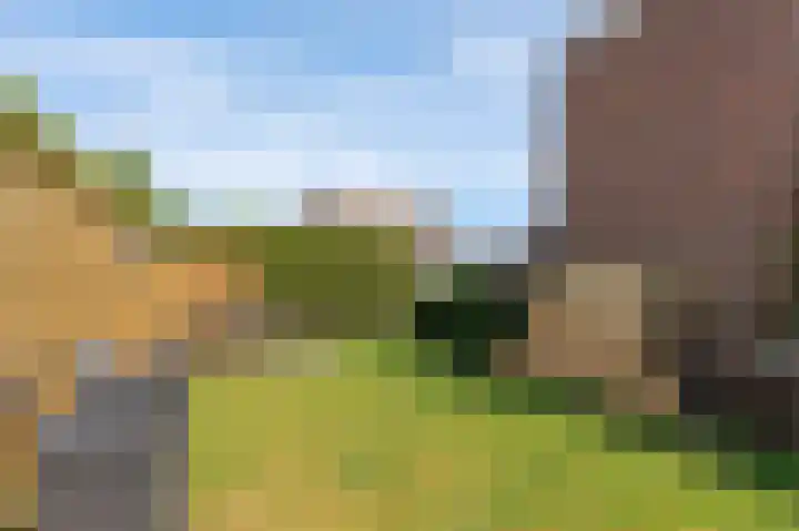 Blaauwhoflaan 39 Joure thumbnail 35