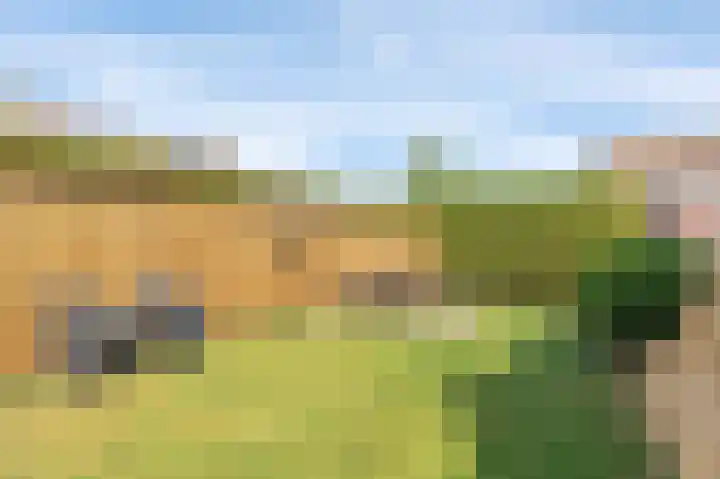 Blaauwhoflaan 39 Joure thumbnail 36