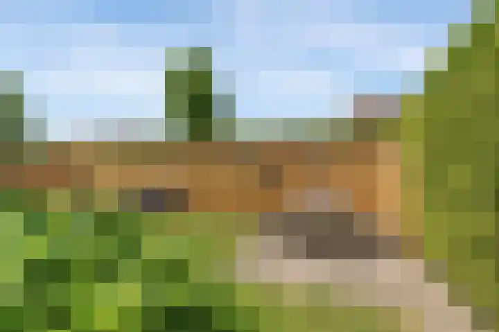 Blaauwhoflaan 39 Joure thumbnail 4