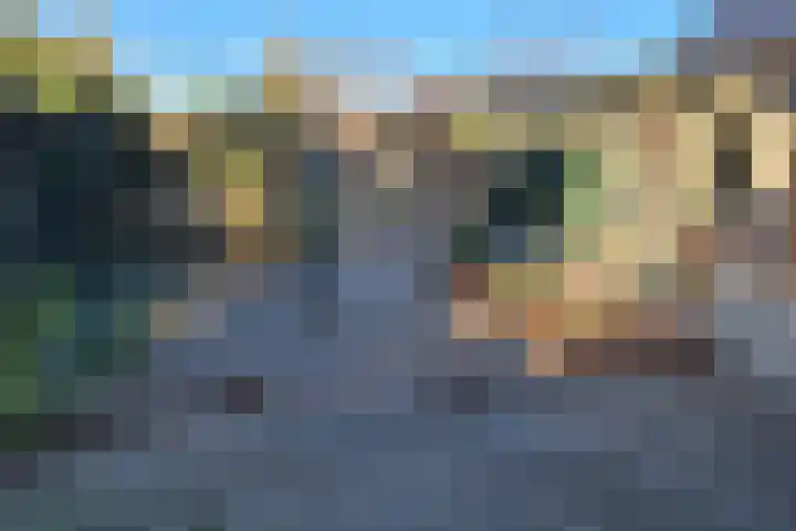 Blaauwslaan 10 Siddeburen thumbnail 22