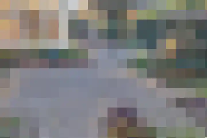 Blaauwslaan 10 Siddeburen thumbnail 23