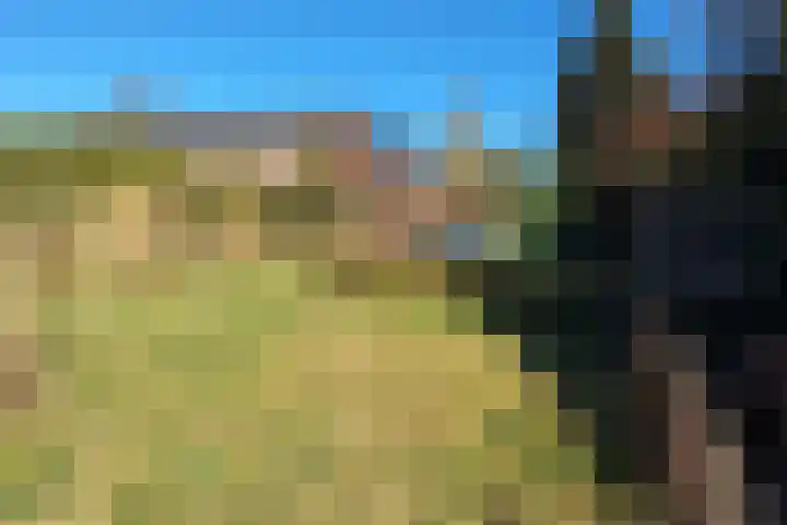 Blaauwslaan 10 Siddeburen thumbnail 24