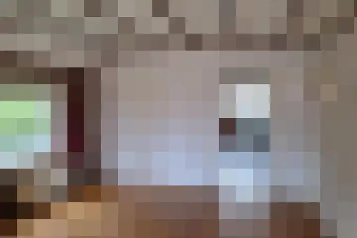 Blaauwslaan 10 Siddeburen thumbnail 6