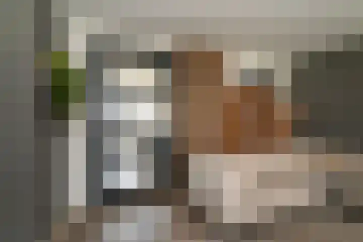 Blaauwstraat 14 Rotterdam thumbnail 10