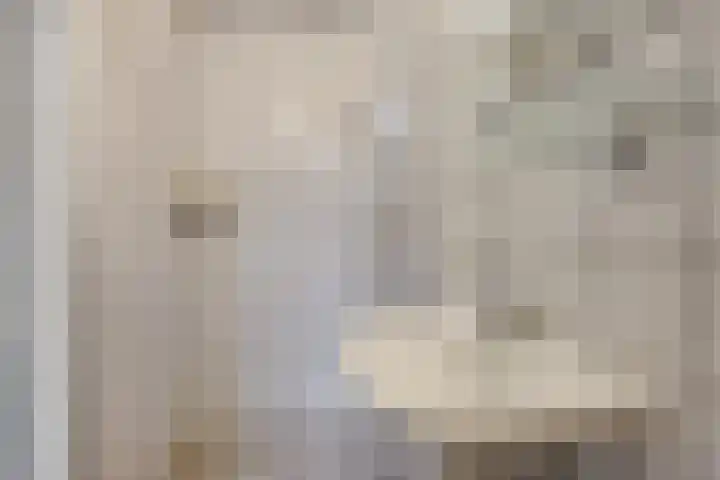 Blaauwstraat 14 Rotterdam thumbnail 13