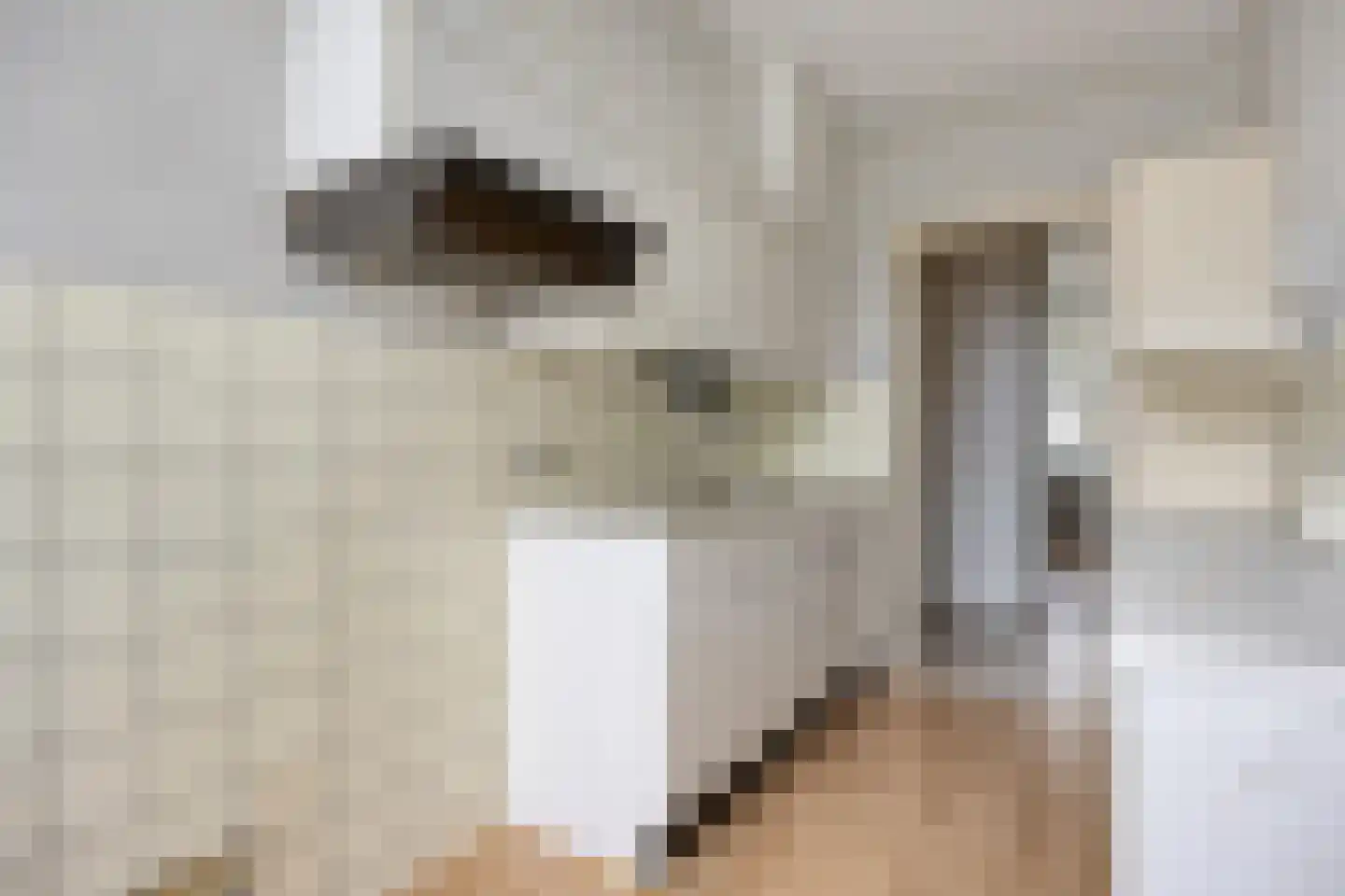 Blaauwstraat 14 Rotterdam thumbnail 15