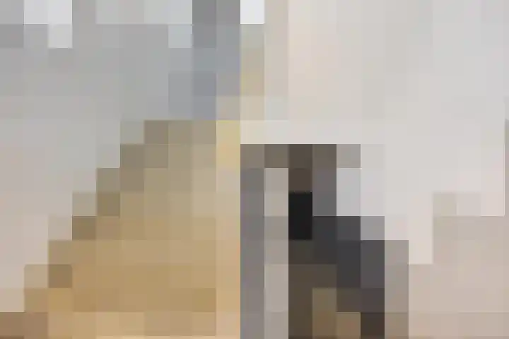 Blaauwstraat 14 Rotterdam thumbnail 4