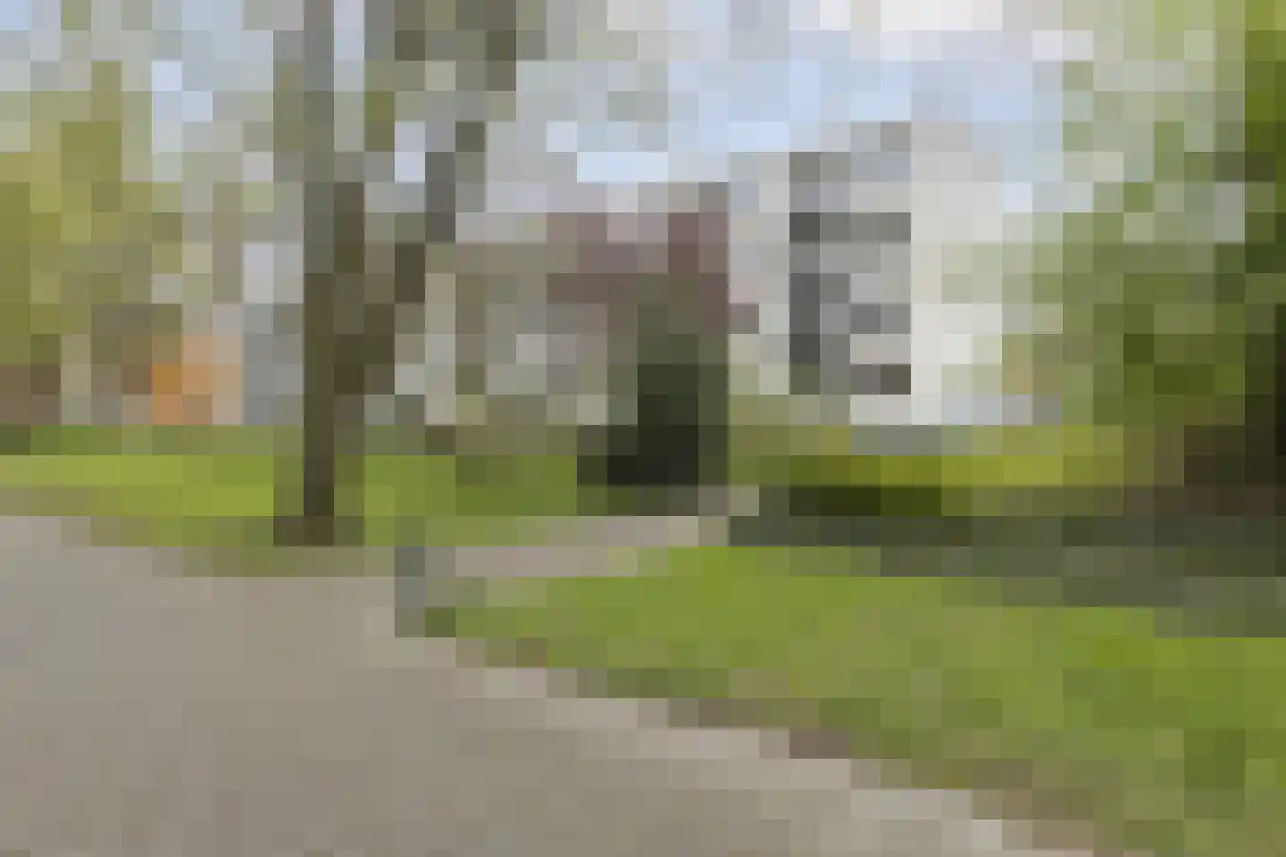 Blaauwstraat 20 Rotterdam thumbnail 17