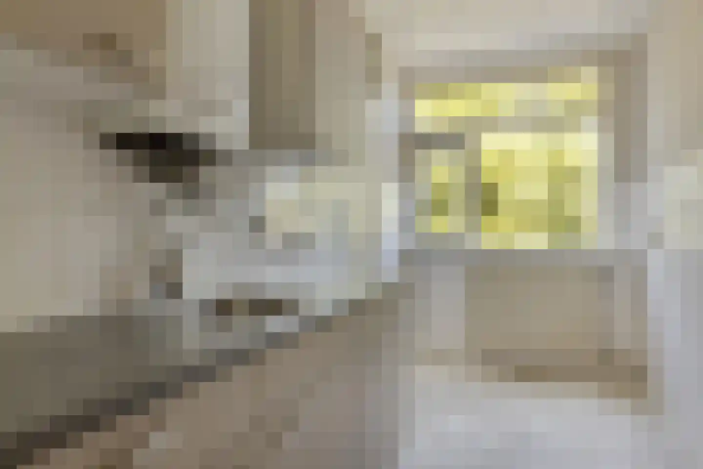 Blaauwstraat 44 Rotterdam thumbnail 5