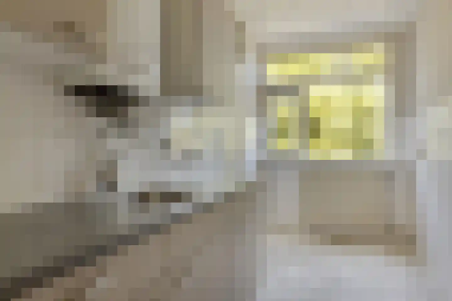 Blaauwstraat 44 Rotterdam thumbnail 5