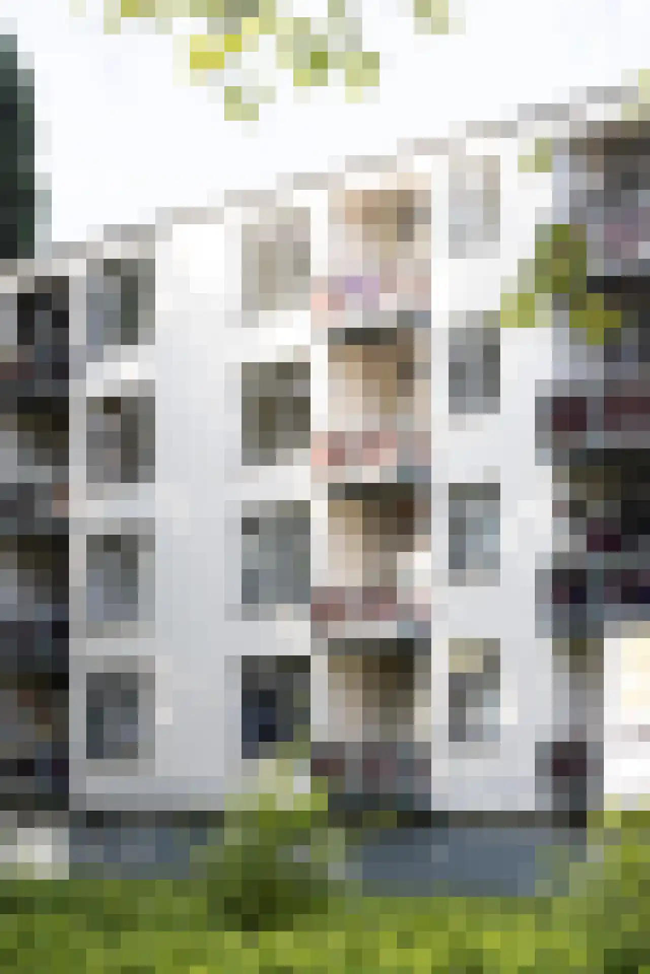Blaauwstraat 58 Rotterdam thumbnail 25