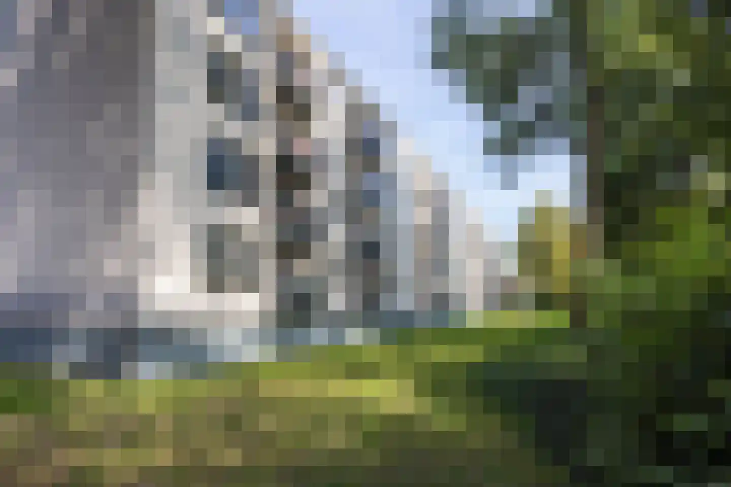 Blaauwstraat 58 Rotterdam thumbnail 5