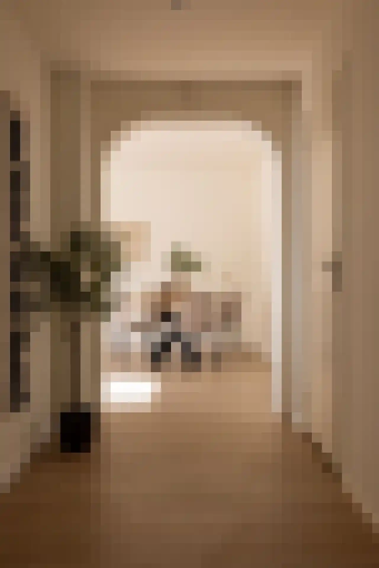 Blaauwstraat 58 Rotterdam thumbnail 7