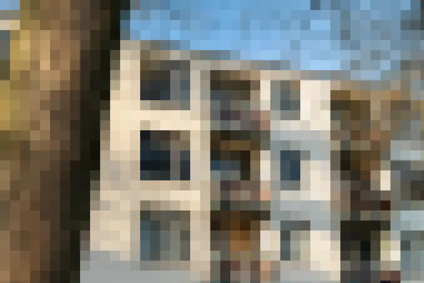 Blaauwstraat 60 Rotterdam thumbnail 41