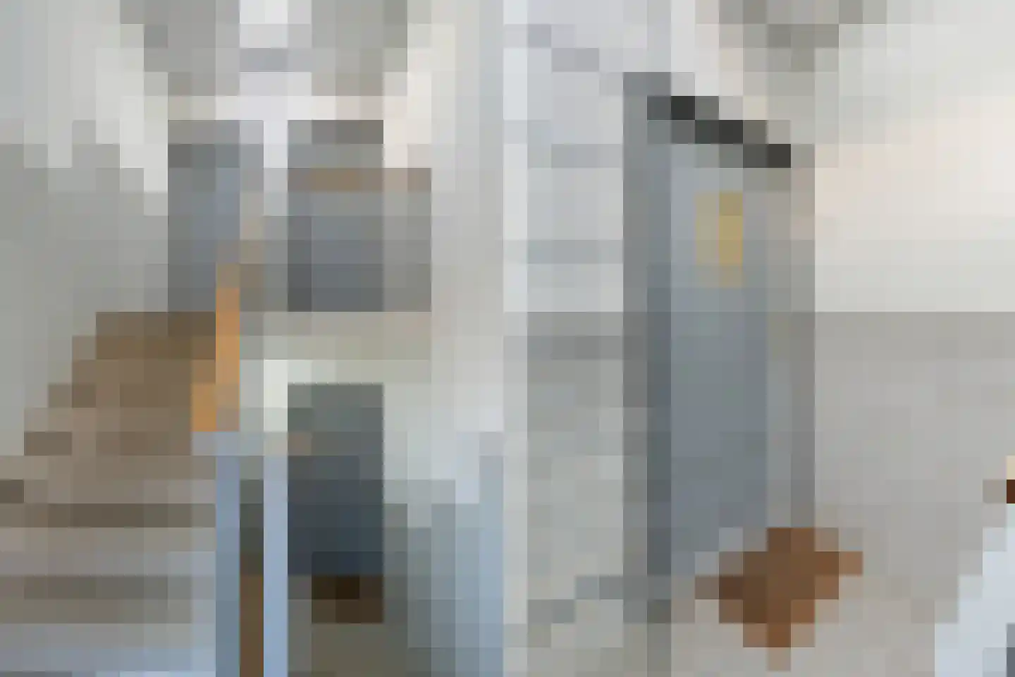 Blaauwstraat 60 Rotterdam thumbnail 6