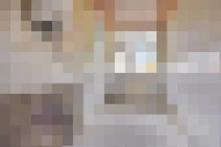 Blaauwstraat 92 Rotterdam thumbnail 12