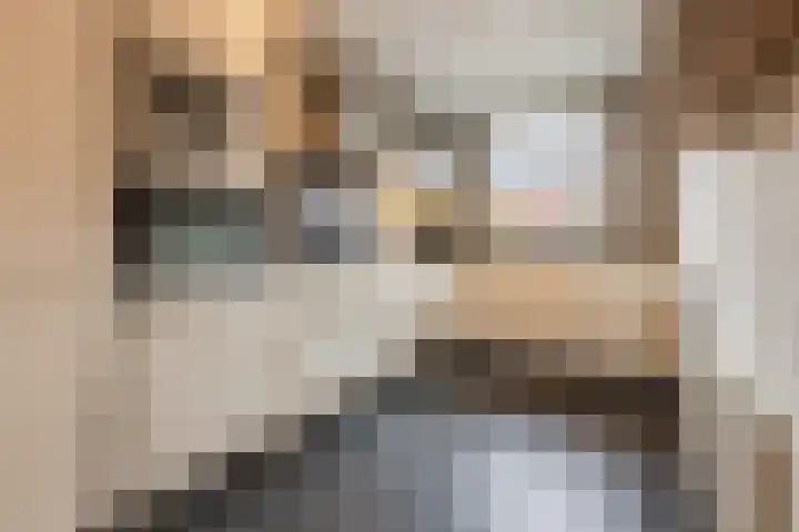 Black Alicante 106 Huissen thumbnail 16