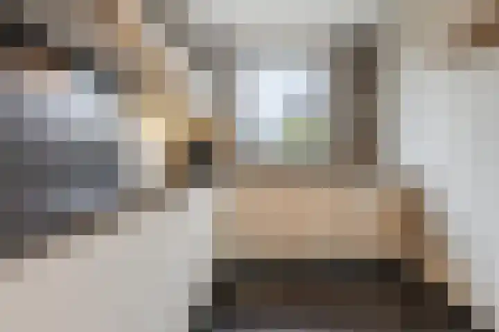 Black Alicante 106 Huissen thumbnail 17