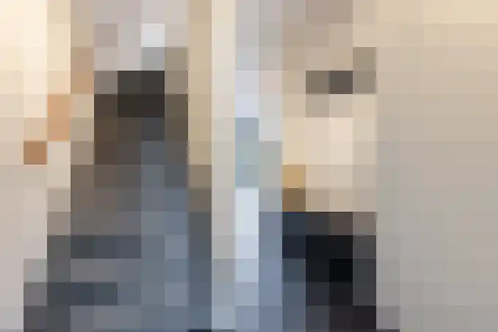Black Alicante 106 Huissen thumbnail 19