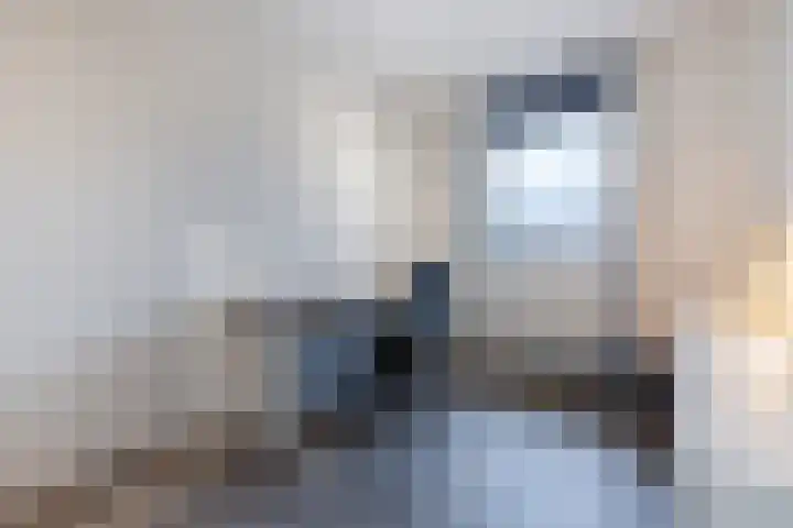 Black Alicante 106 Huissen thumbnail 22