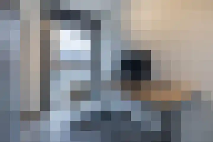 Black Alicante 106 Huissen thumbnail 24