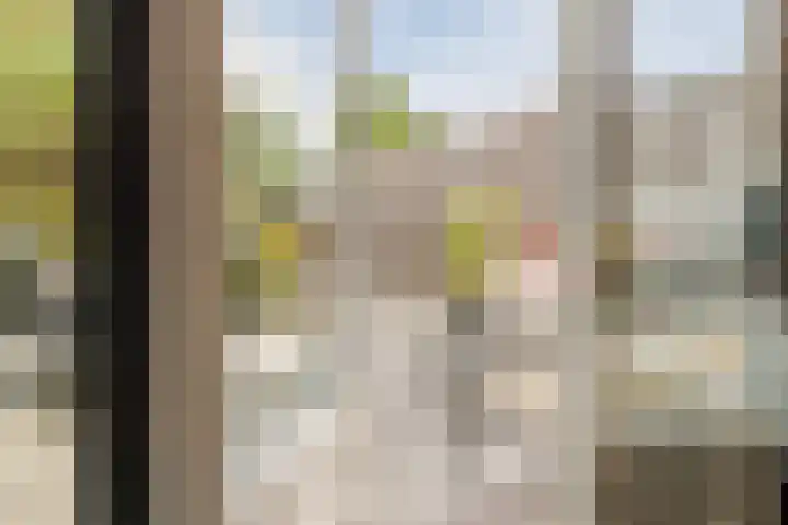 Black Alicante 106 Huissen thumbnail 34