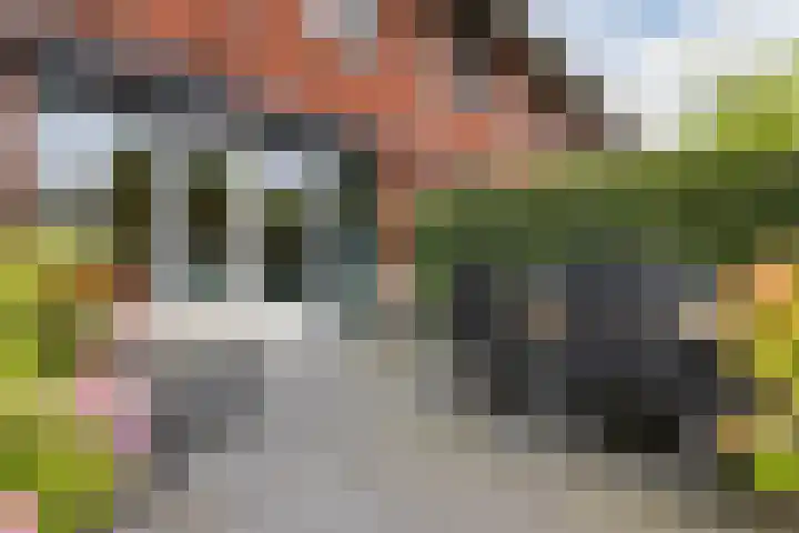 Black Alicante 106 Huissen thumbnail 37