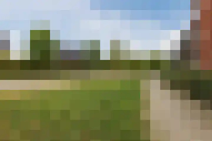Black Alicante 106 Huissen thumbnail 43