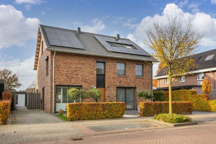 Black Alicante 116 dans Huissen photo