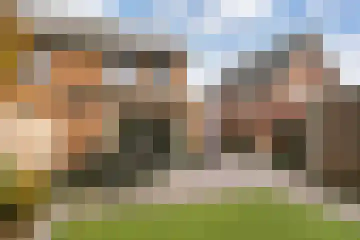 Black Alicante 116 Huissen thumbnail 27