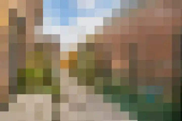 Black Alicante 116 Huissen thumbnail 28