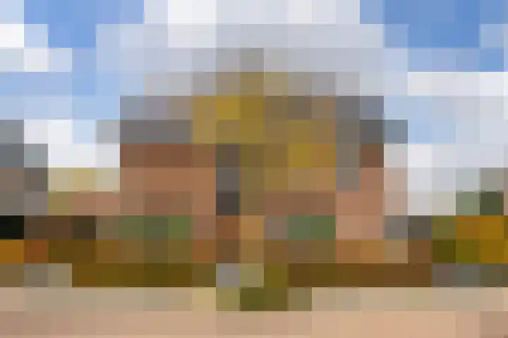 Black Alicante 116 Huissen thumbnail 32