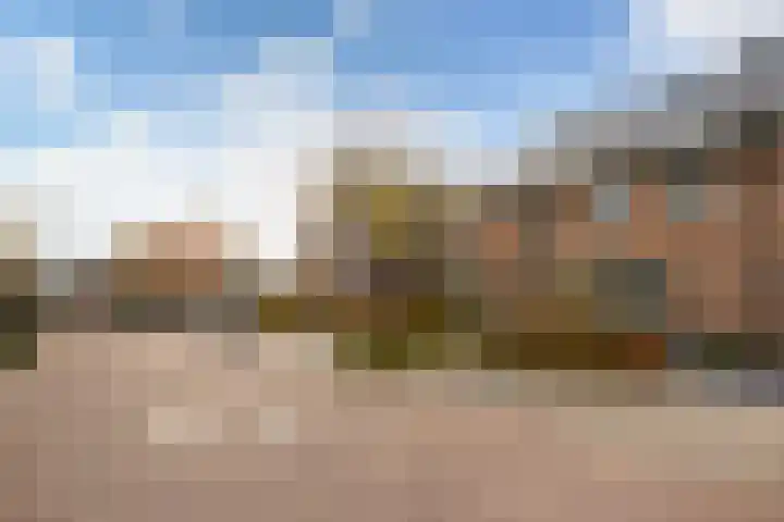 Black Alicante 116 Huissen thumbnail 33