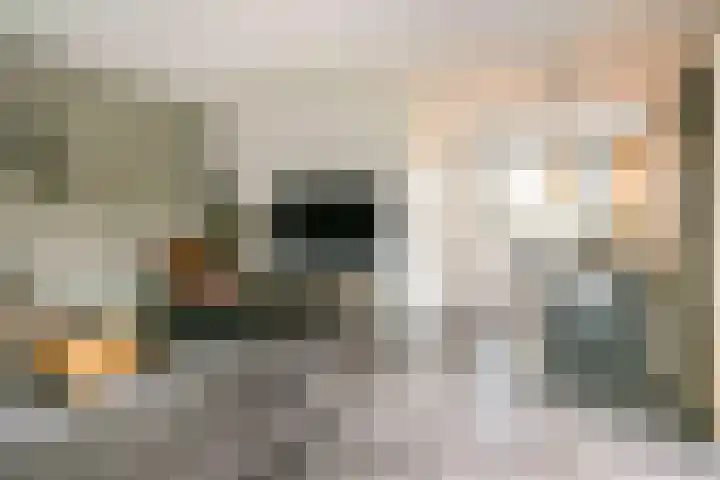 Black Alicante 116 Huissen thumbnail 4