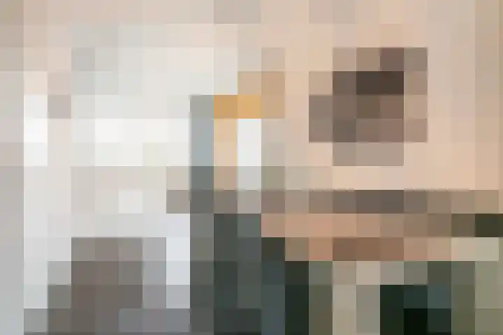 Black Alicante 116 Huissen thumbnail 8