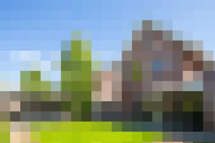 Black Alicante 132 Huissen thumbnail 29