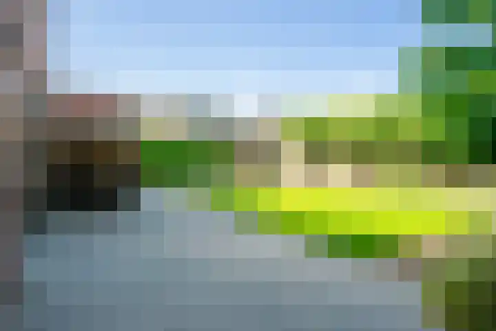 Black Alicante 132 Huissen thumbnail 30