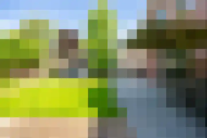 Black Alicante 132 Huissen thumbnail 31