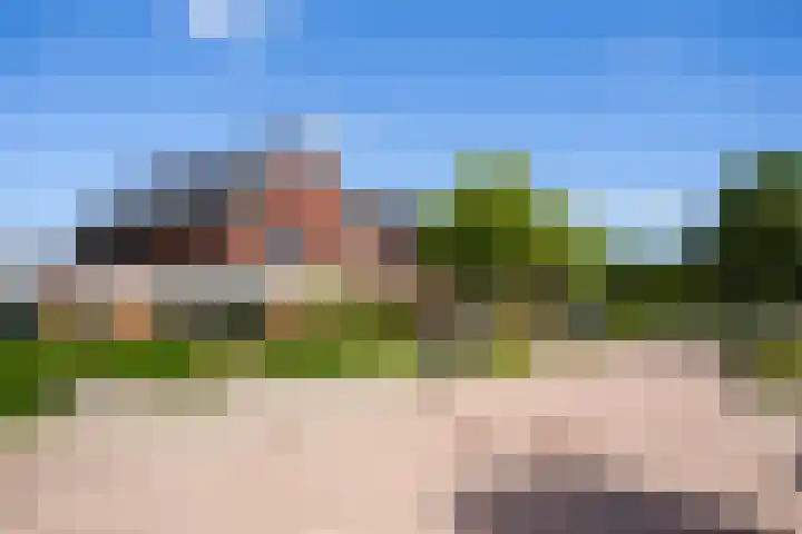 Black Alicante 132 Huissen thumbnail 33