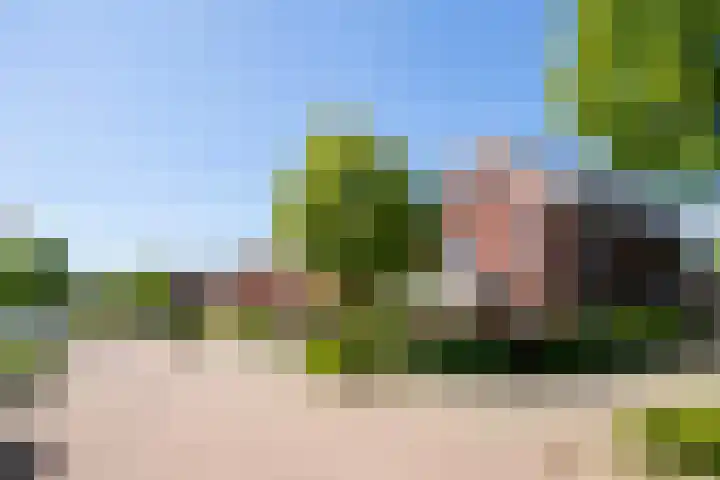 Black Alicante 132 Huissen thumbnail 34