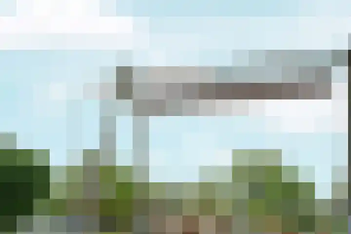 Black Alicante 132 Huissen thumbnail 36