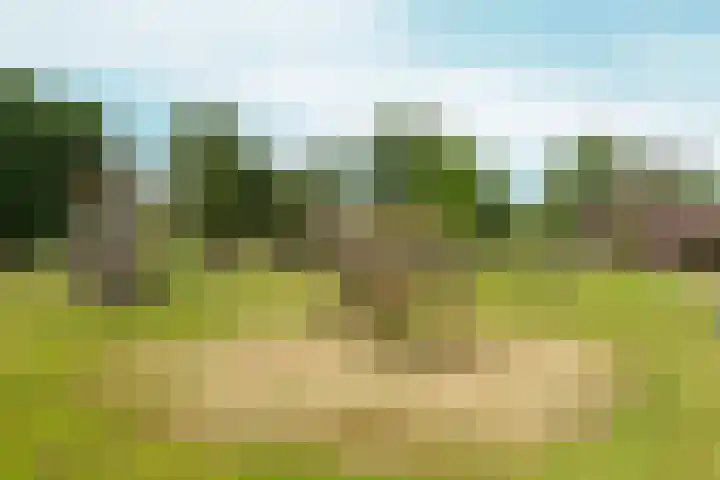 Black Alicante 132 Huissen thumbnail 37
