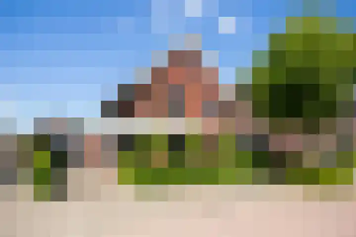 Black Alicante 132 Huissen thumbnail 43