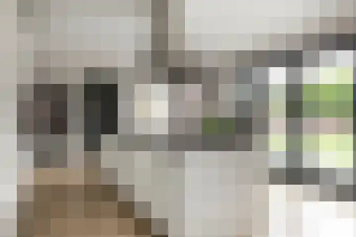 Black Alicante 132 Huissen thumbnail 9