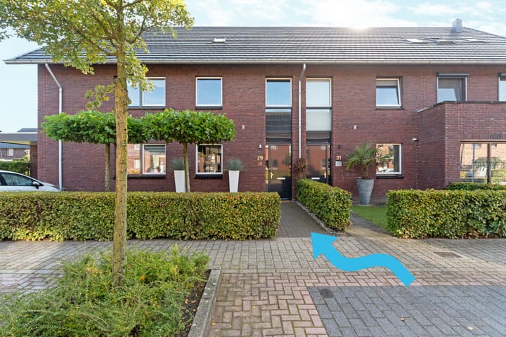 Black Alicante 29 dans Huissen photo