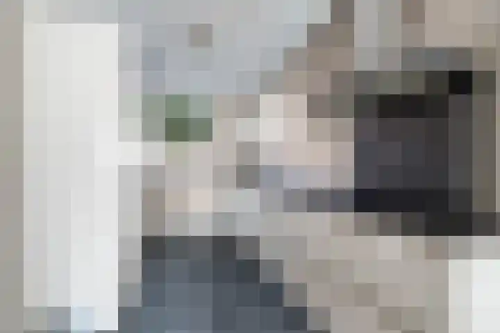 Black Alicante 29 Huissen thumbnail 11