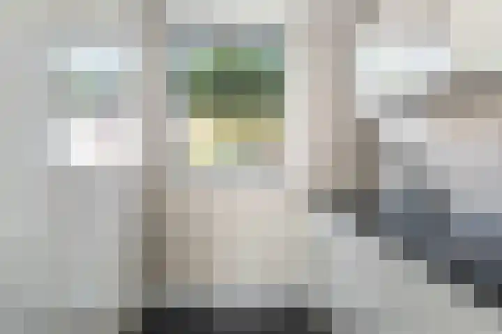 Black Alicante 29 Huissen thumbnail 12