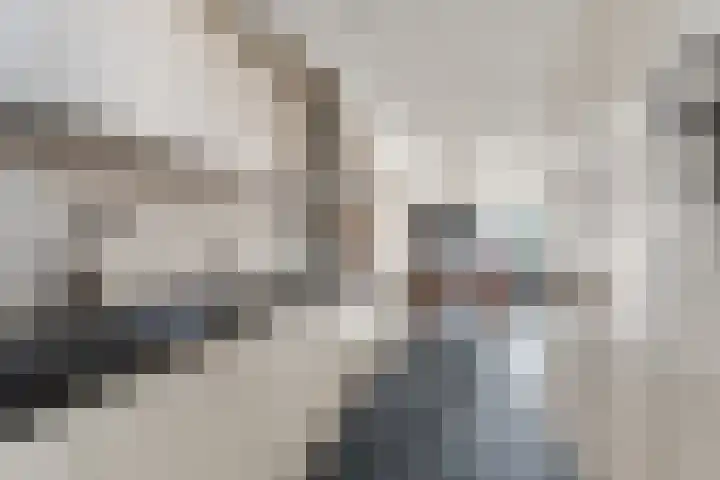 Black Alicante 29 Huissen thumbnail 13