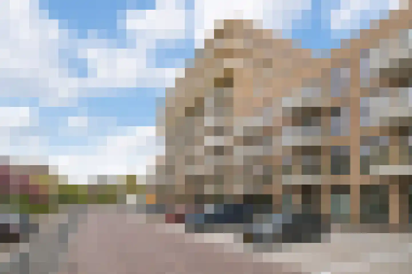 Black Alicante 29 Huissen thumbnail 15